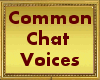 Common Chat Voice Box
