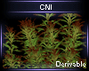 Derivable Plant V20