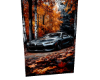 sport car 1