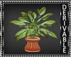 Country Potted Plant 2