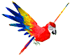 Red Flying Parrot