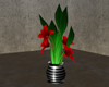 red orchid potted plant