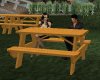 picnic table