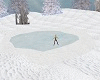 Ice Skating Pond