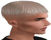Frank Blonde