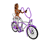 bicycle shopper model