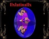 dome aladin and jasmine 