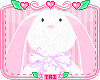 🐢 Baby Bunny