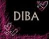 ~DW~diba necklace
