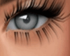 Grey Horizon Eyes