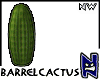 N}nw Barrel Cactus_03