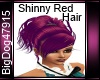 [BD] Shinny Red Hair