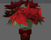 Plant Xmas