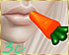 [3c] Bunny Carrot