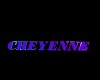 IMI Cheynne Sign