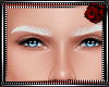 PLATINUM EYEBROWS