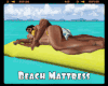 *Beach Mattress