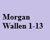 Morgan Wallen 1-13