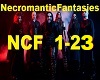 Necromatic Fantasies-COF