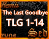 |S| The Last Gbye Remix