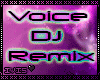 "S" DJ REMIX VOICEBOX