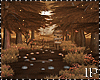 Autumn Forest Path PR