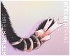 ❄ Tail Black/Pe