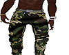army pants