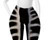 Sexy LLT