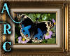 ARC Butterfly Pic 4