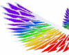 rainbow wings