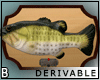 DRV Fish Plaque Animated