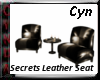 Secrets Leather Seats