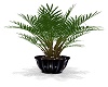 MJ-Plant Pot