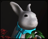 Easter Bunny with Carrot