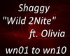 ~NVA~Shaggy-Wild 2Nite f
