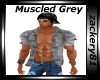 Muscled Grey Shirt 2013