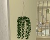 [K] WN Hanging Plant