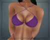 Summer Purple Bikini