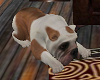 Laying Dog