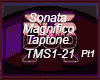 Sonata  MagnificoTaptone