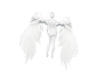 wings white