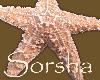 Starfish 1