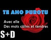 &acirc;�� E L L E 17 &acirc;��