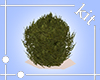[Kit]Tree1