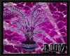 Lav.Mystic plant1