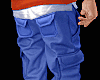 Blue Sport Cargos