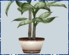 Kawaii Potted Tree