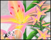 *82 Lily- 5 Bloom Pink