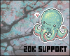 20k Support